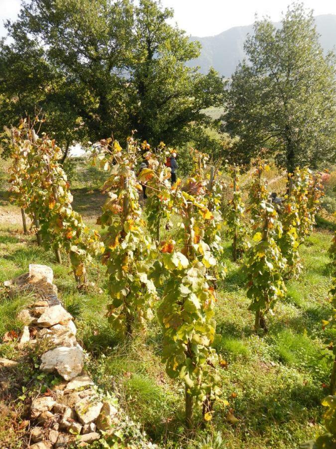 Отель Ferme De La Bonnefontaine Plats Экстерьер фото